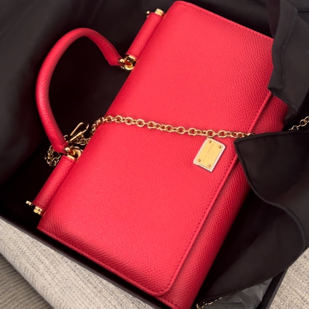 Dolce and Gabbana purse